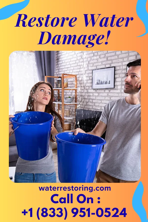 water restoration Prime Flood Mitigation Experts Seaboard