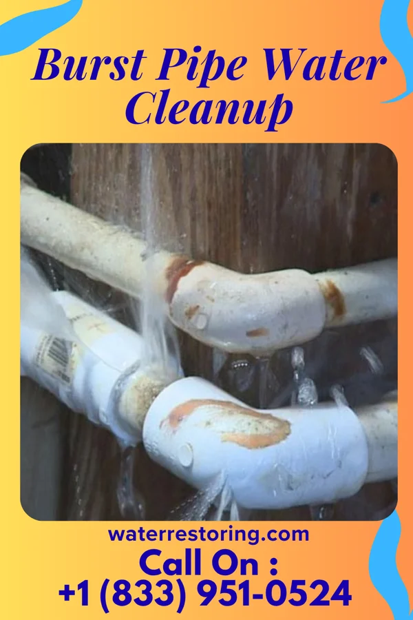 Burst Pipe Water Cleanup in Seaboard, NC