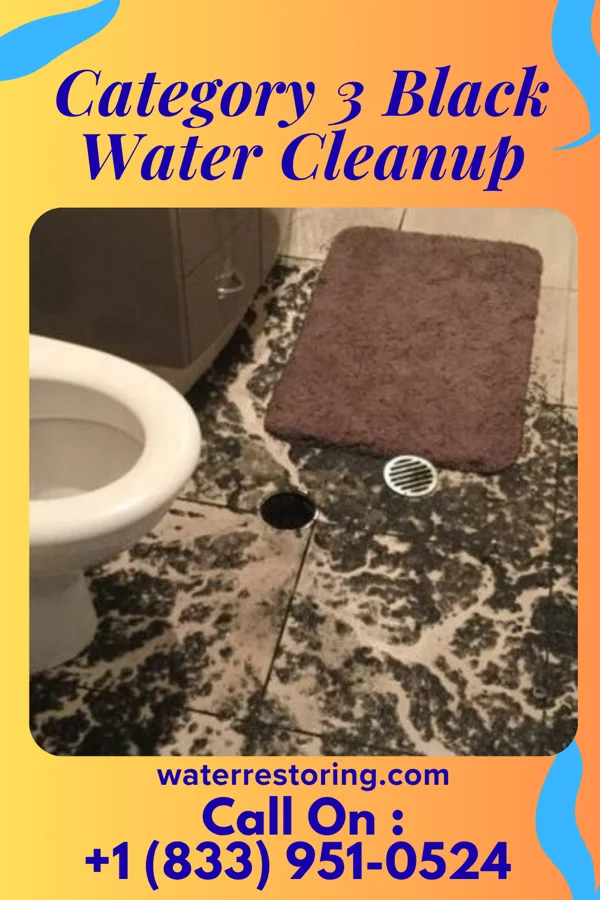 Category 3 Black Water Cleanup in Seaboard, NC