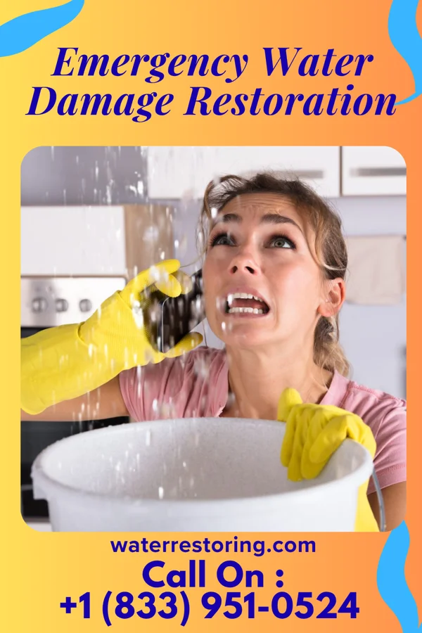 Emergency Water Damage Restoration in Seaboard, NC
