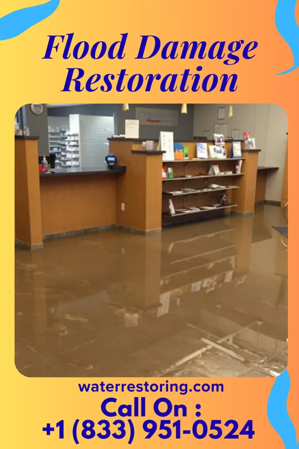 Flood Damage Restoration in Seaboard, NC