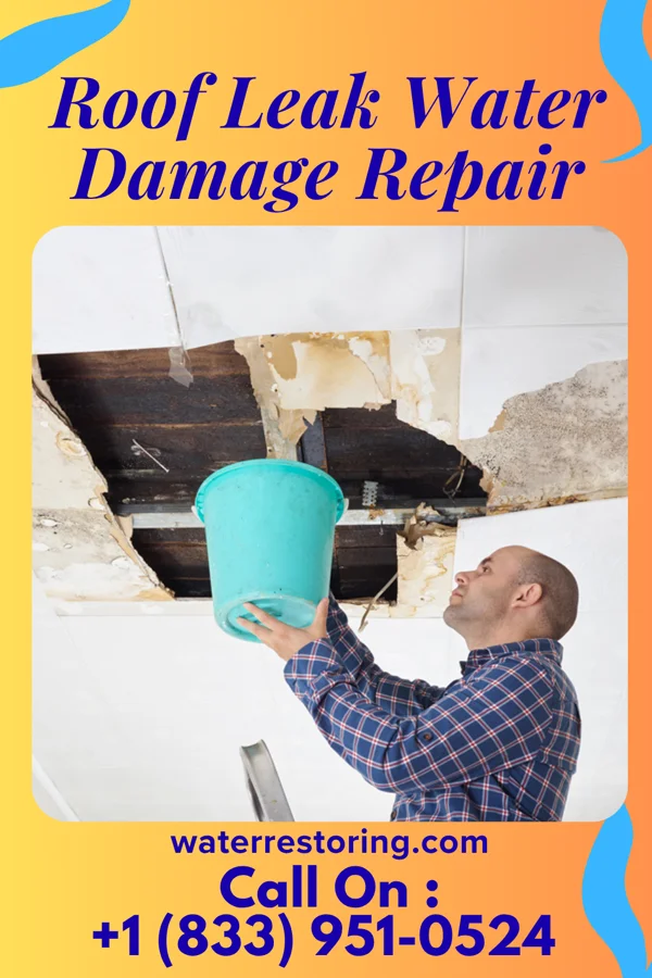 Roof Leak Water Damage Repair in Seaboard, NC