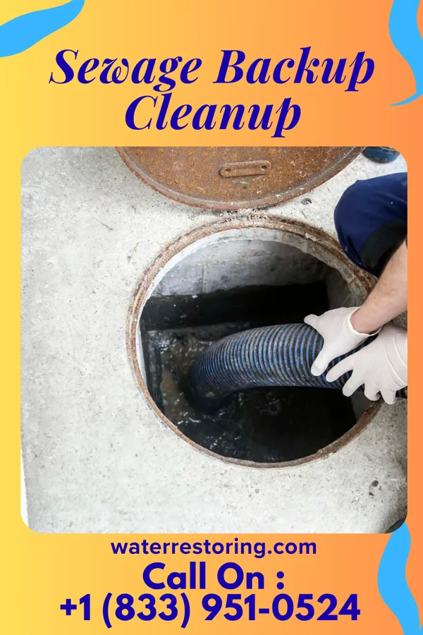 Sewage Backup Cleanup in Seaboard, NC