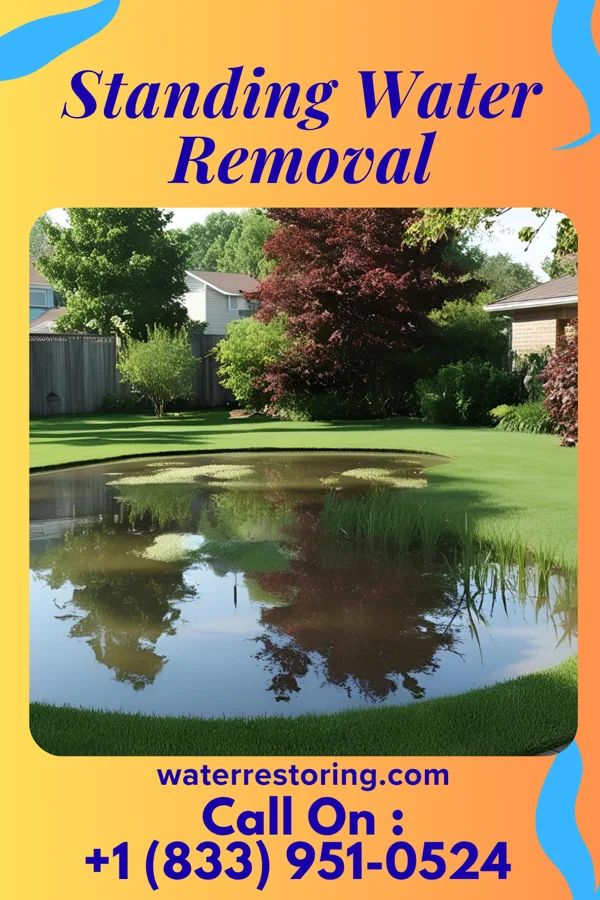 Standing Water Removal in Seaboard, NC